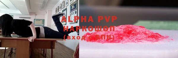 крисы Баксан