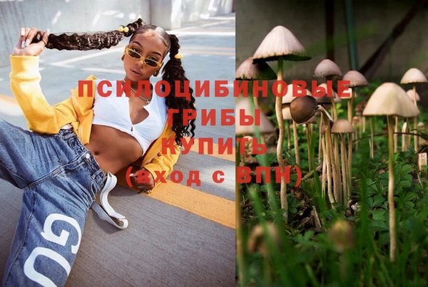 крисы Баксан